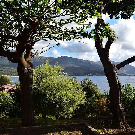 Le Relais De Tiuccia Villa Casaglione Buitenkant foto